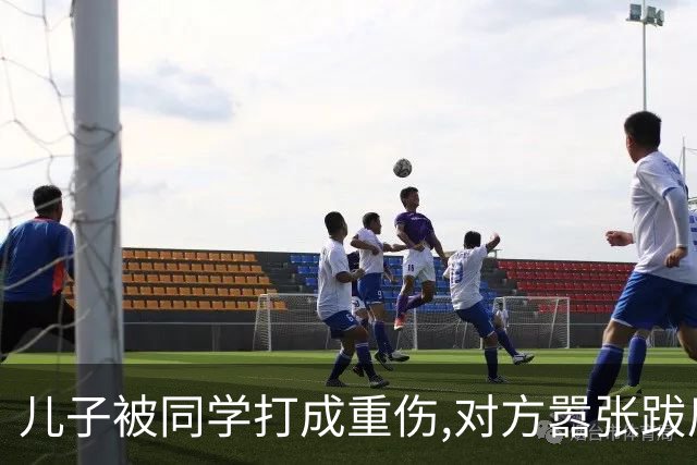儿子被同学打成重伤,对方嚣张跋扈宣称随便告,我拨通了岳父的电话