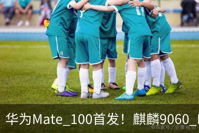 华为Mate 100首发！麒麟9060 Pro升级更猛：良率提升明显