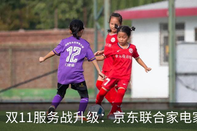 双11服务战升级：京东联合家电家居品牌发布送装服务升级