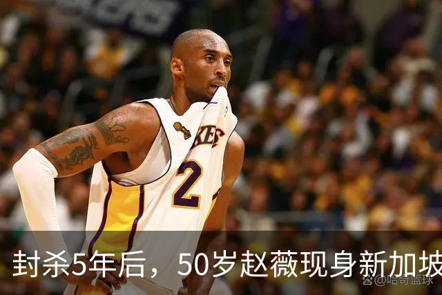 封杀5年后，50岁赵薇现身新加坡，原来她已找到一条"新退路"