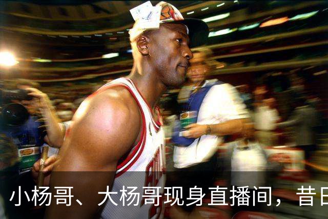 小杨哥、大杨哥现身直播间，昔日风光不再，在线人数仅寥寥数百人
