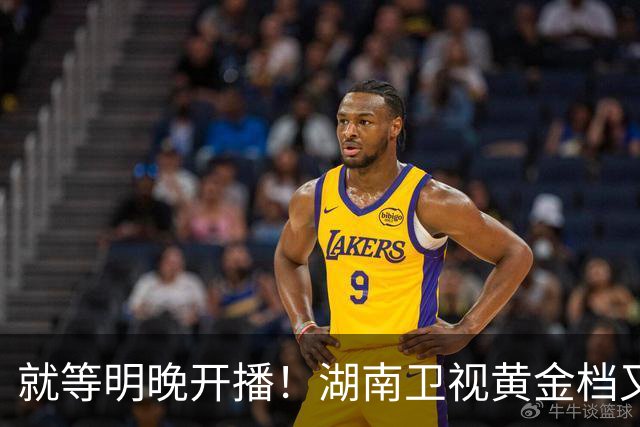 就等明晚开播！湖南卫视黄金档又上新好剧，阵容相当能打，开播估计要火