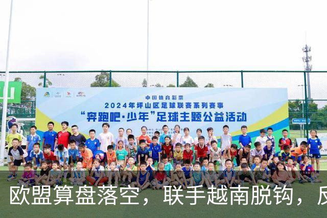 欧盟算盘落空，联手越南脱钩，反手被上了一课：什么叫中国力量