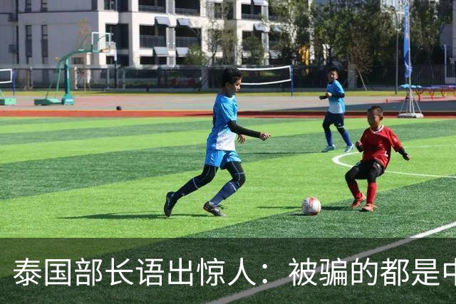 泰国部长语出惊人：被骗的都是中国人，是因为受害者自己贪心？