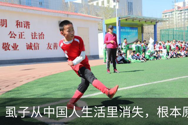 虱子从中国人生活里消失，根本原因不是爱干净，真相让人傻眼