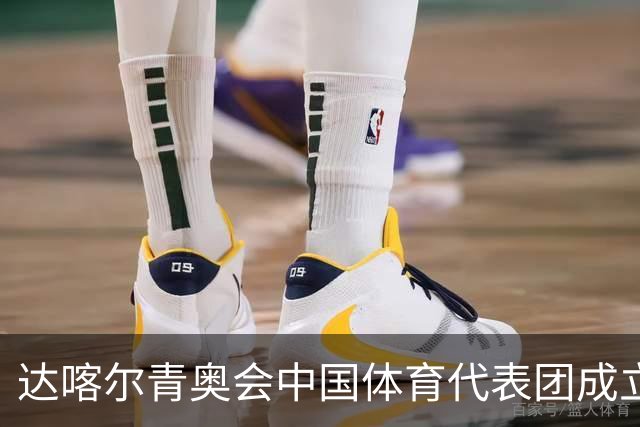 达喀尔青奥会中国体育代表团成立