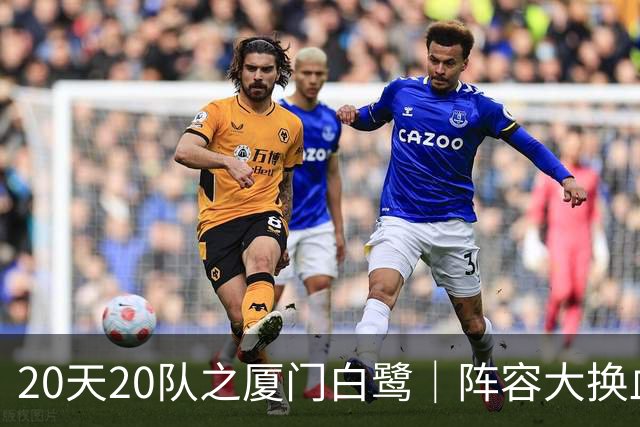 20天20队之厦门白鹭｜阵容大换血！全新00后青年军出征新赛季
