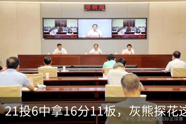 21投6中拿16分11板，灰熊探花这效率有点扎眼